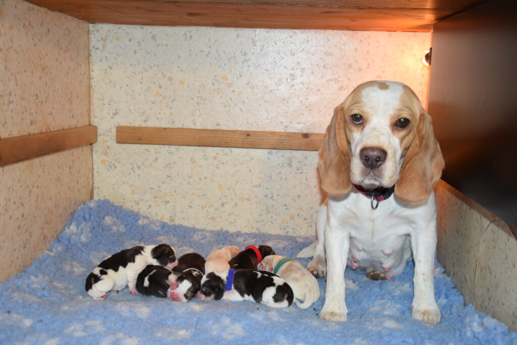 U2 – Wurf 09.01.2026